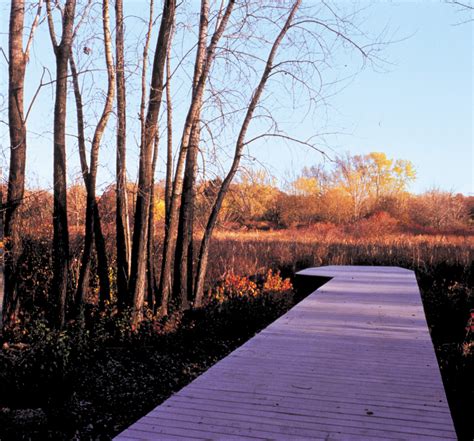 Boston Nature Center — Halvorson | Tighe & Bond Studio