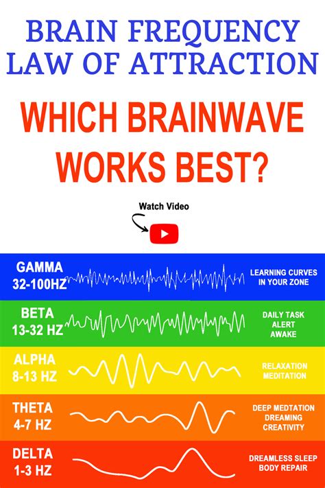 Brain Frequency Law of Attraction: 5 Kinds of Brainwaves | Law of attraction, Brain waves ...