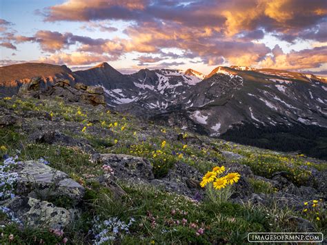 Summer Magic | Rocky Mountain National Park, Colorado | Images of Rocky ...