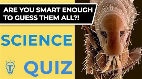 20 Science Trivia Questions - Science Quiz Ep.105 🤔 - YouTube