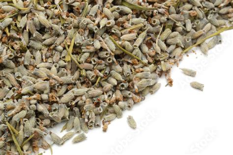 Lavender seeds Stock Photo | Adobe Stock