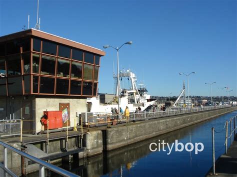 10 BEST Things at Ballard Locks - Free Entry, Salmon Viewing, History