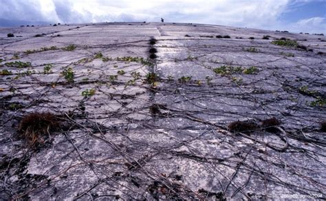 Runit Dome: The Radioactive Trash Can on Enewetak Atoll | Amusing Planet