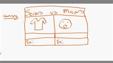 Serous Membrane Vs Mucous Membrane