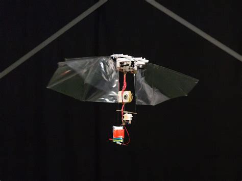 A New Robotic Fly Dips and Dives Like the Real Thing | WIRED