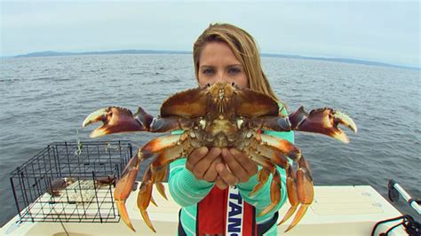 Puget Sound crabbing season underway | king5.com