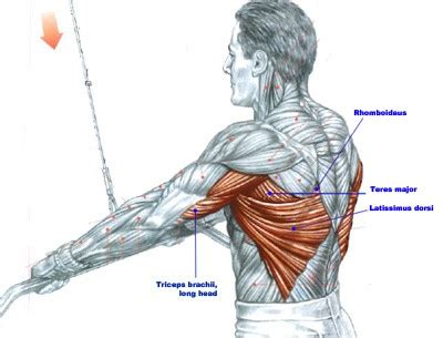 Don't Ignore Your Lats! Using the Lat Pulldown Machine Correctly