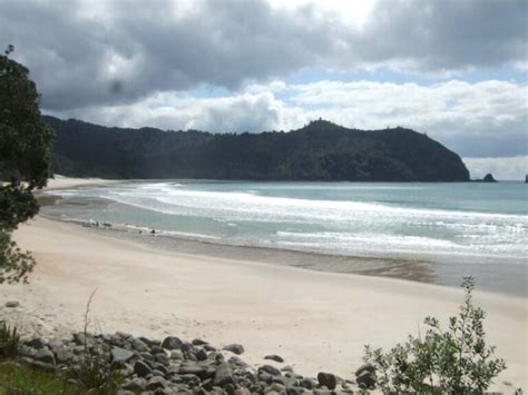 New Chums Beach: Finding A Hidden Oasis, New Zealand