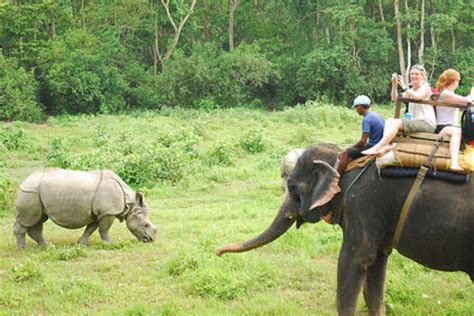 Bharatpur - The Entrance to Chitwan National Park | Buddha Air Chitwan