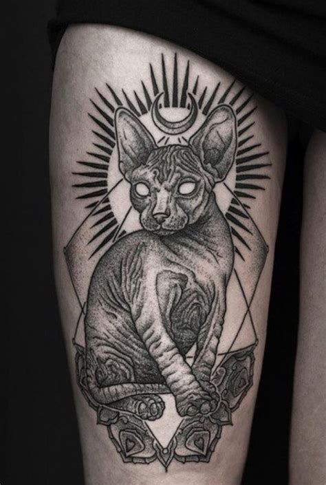 Sphinx cat tattoo | Sphynx cat tattoo, Tattoos, Cat tattoo designs