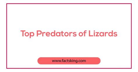 10 Top Predators of Lizards that Eat Lizards - FactsKing.com