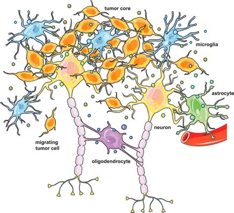 Emerging Roles of Extracellular Vesicles in the Nervous System ...