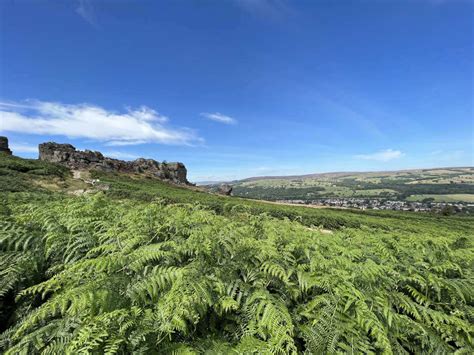 Ilkley Moor Walks: 4 Beautiful Circular Routes