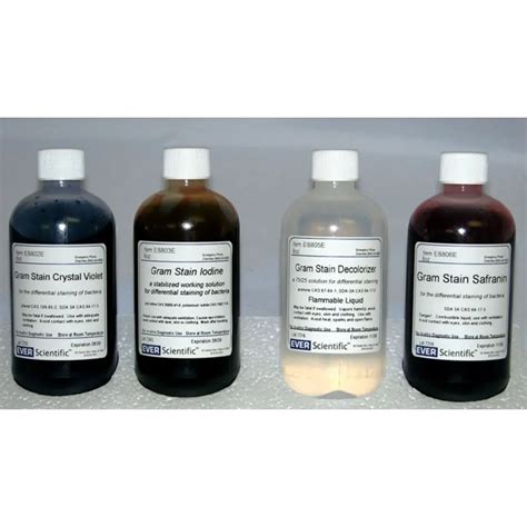 Gram Stain Kit