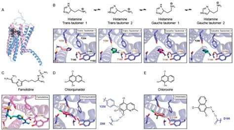 Biosensors | Free Full-Text | Insight into the Mode of Action of 8-Hydroxyquinoline-Based ...