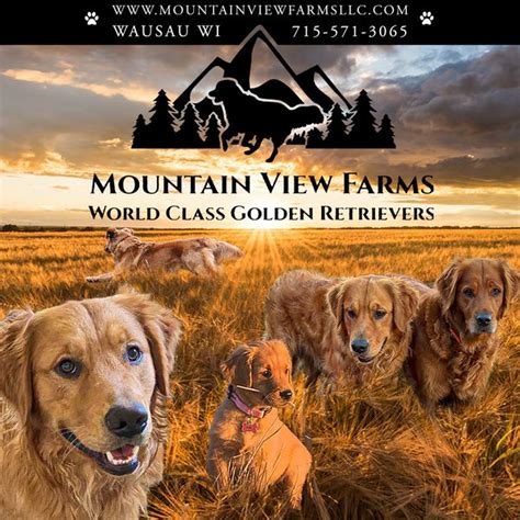 HOLLYWOOD – Mountain View Farms LLC