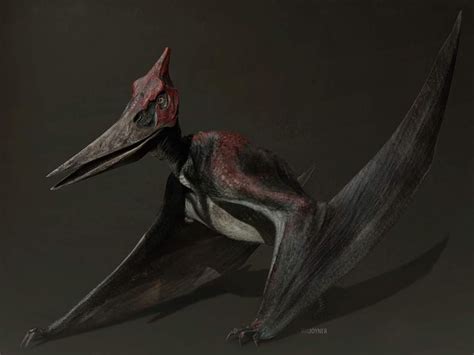 JW Pteranodon concept art by @ianjoynerart 4/4 #jurassicpark #jurassicpark4 #jurassicworld # ...