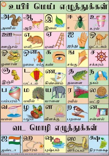 Full Color Laminated Paper Tamil Alphabet Chart, Size: 70X100 at Rs 140 ...