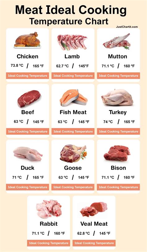 Meat Temperature Chart - Ideal Cooking temp in °C, °F