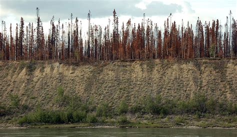 Yukon Rambles: Paddling the Yukon River 3: Forest Fire