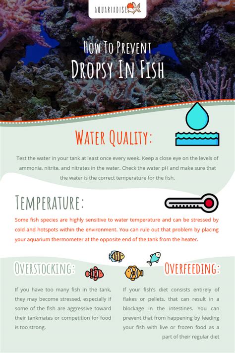 How To Prevent Dropsy Disease In Your Tank: Causes And Solutions