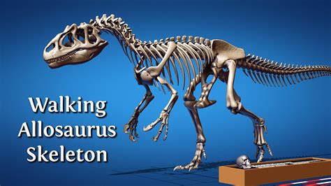 Walking dinosaur skeleton - Allosaurus - Finished Projects - Blender Artists Community