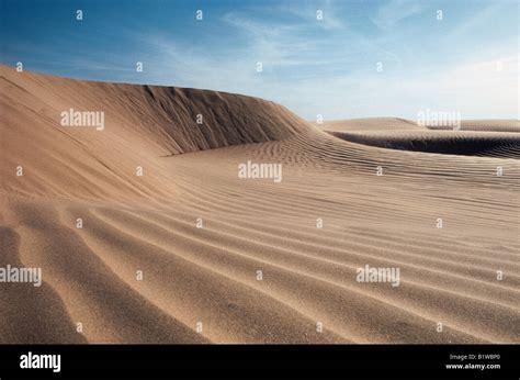 Sculpted crescent of Barchan transverse sand dunes in the stony desert ...