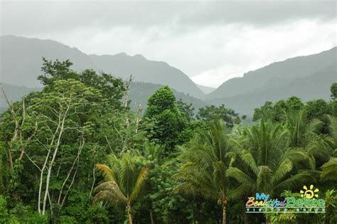 Sleeping Giant Rainforest Lodge - My Beautiful Belize