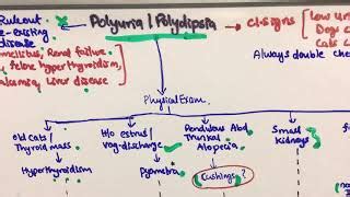 moboblog: Polyuria Polydipsia Polyphagia