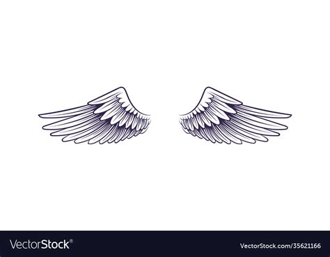 Sketch angel wings flying hand drawn wing Vector Image