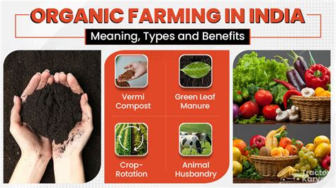 Organic Farming - Meaning, Types, Benefits & Importance