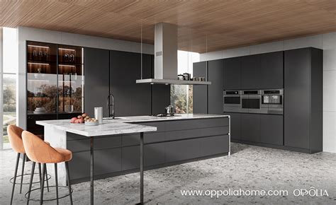 Modern Medium Grey Kitchen Cabinets in Lacquer Finish | OPPOLIA