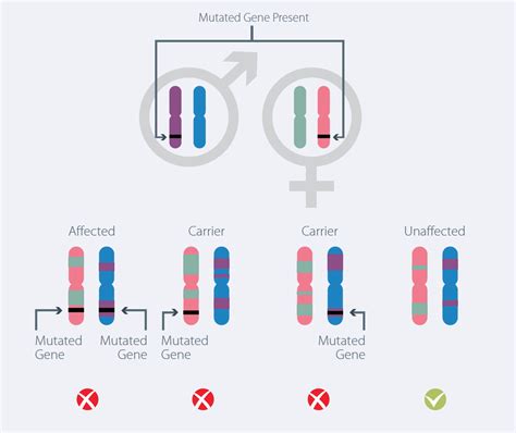 What is Mutant Gene Identification and Can PGD Help? - Bridge Clinic