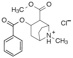 Cocaine Hydrochloride Nasal Solution: PI - Drugs.com