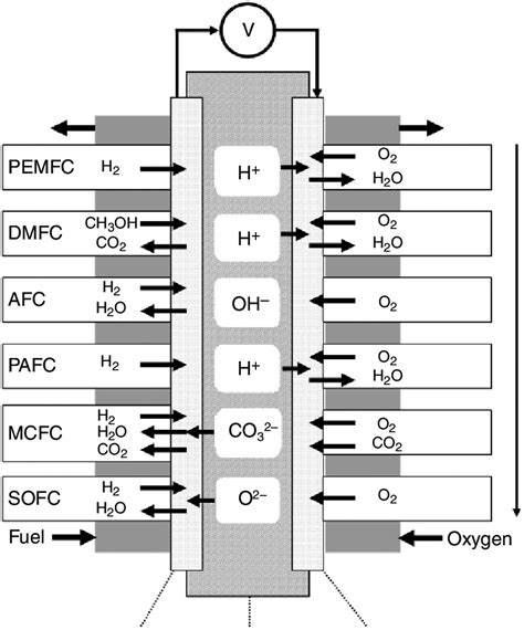 15 Fuel cell types and reactions. | Download Scientific Diagram