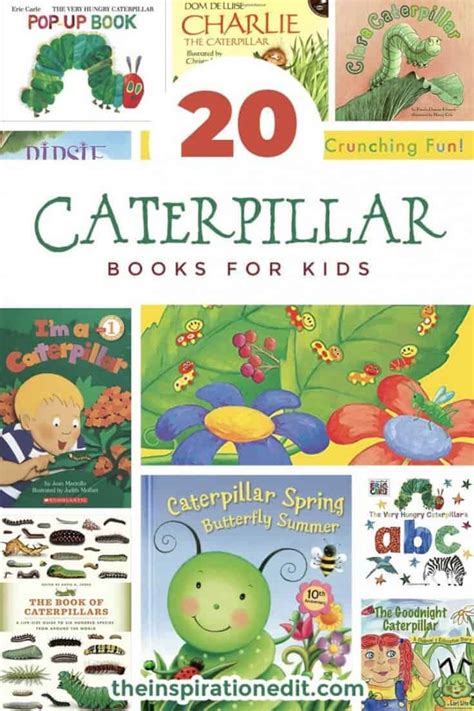 20 Children's Caterpillar Books For Teaching Kids · The Inspiration Edit