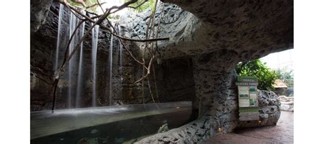 Texas State Aquarium – New Caribbean Journey – GBA Architects, San Antonio