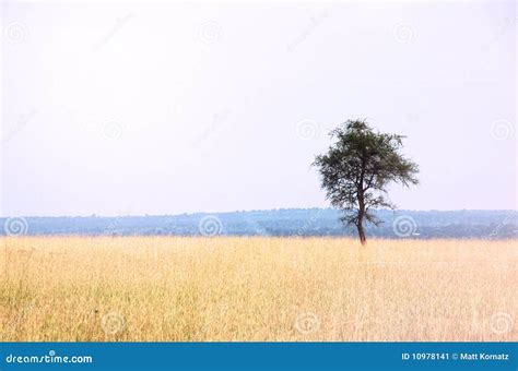 African Plains Landscape stock image. Image of hills - 10978141