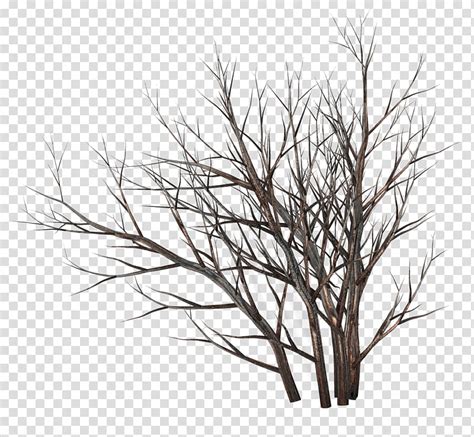 TWD Dead bushes, leafless trees transparent background PNG clipart | HiClipart