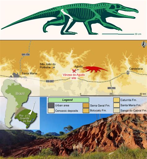 Saurosuchus Vs Postosuchus