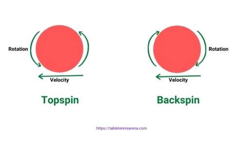 Spin in Table Tennis: How to Create and Counter - TABLE TENNIS ARENA