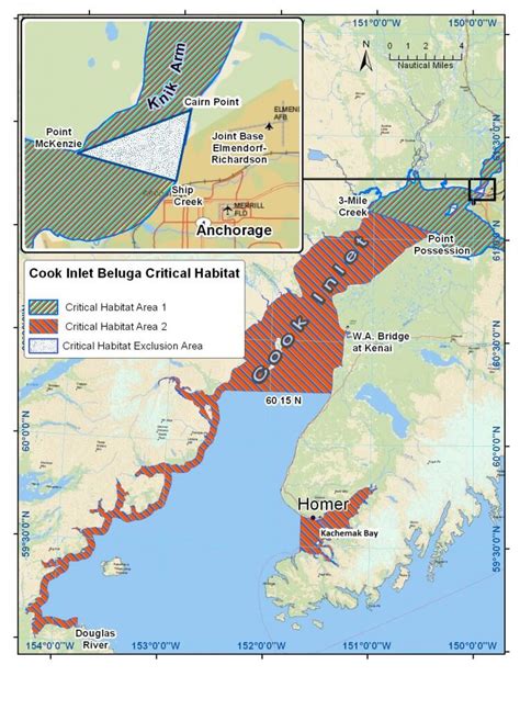 Cook Inlet Beluga Whale - Marine Mammal Commission