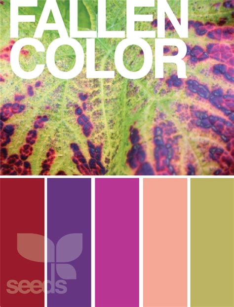 Design Seeds | Design seeds, Seeds color, Paint color schemes