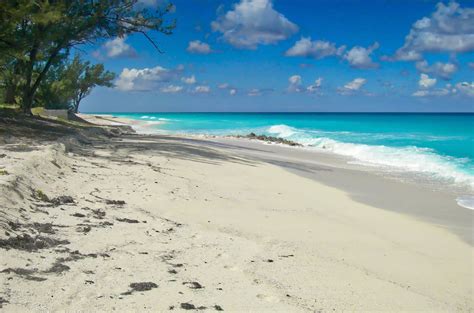 12 Best Things to Do in Bimini, Bahamas: Cruise Port Guide