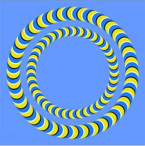 Look into the ring! | Cool optical illusions, Moving optical illusions ...