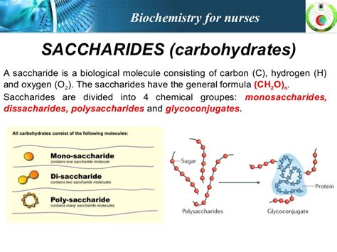 saccharide – Liberal Dictionary