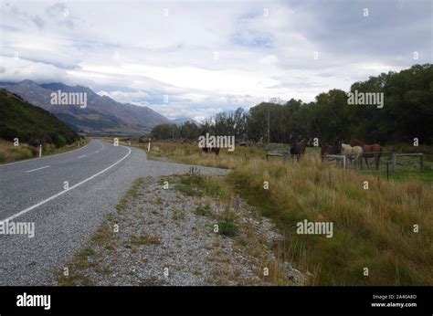 Te Araroa Trail. South Island. New Zealand Stock Photo - Alamy