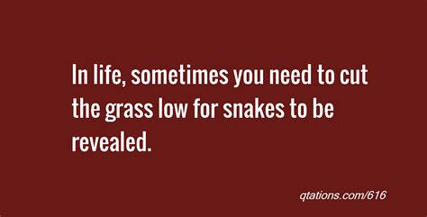 Snake In The Grass Quotes. QuotesGram