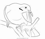 Beautiful And Graceful Dove Birds Coloring Page For Kids  Free Pigeons sketch template