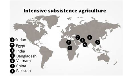 What is intensive subsistence agriculture or farming? - ScienceQuery